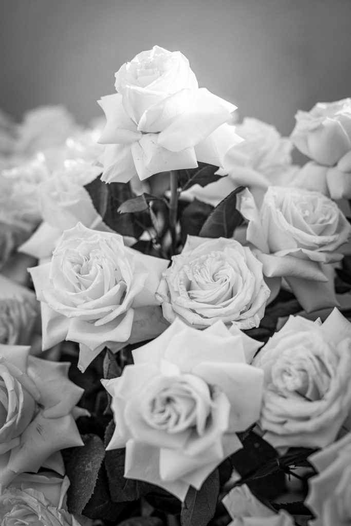 Fotografia de boda
